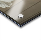 President Lincoln statue with focus on fist Impression Acrylique