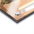 Statue of Thomas Jefferson Washington DC Acrylic print