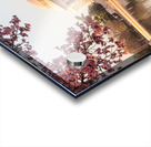 Beautiful early morning Jefferson Memorial with pastel colors Acrylic print