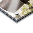 Detail of head of statue of President Lincoln Acrylic print