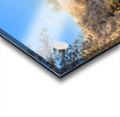 Washington Monument towers above blossoms Acrylic print