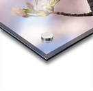 Close up of Cherry Blossom flowers Acrylic print