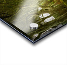 Dark Hedges road through old trees Impression Acrylique