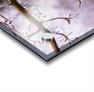 Ice covered branches start to melt to icicles Impression Acrylique