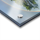 Tree of life with rainbow Impression Acrylique