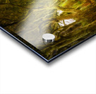 Dark Hedges road through old trees in digital oil Acrylic print