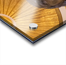 Head of the statue of George Washington Acrylic print