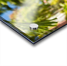 Famous 99 steps Charlotte Amalie Acrylic print