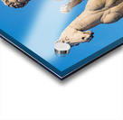 Comune di Roma town hall Acrylic print