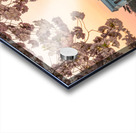 Cherry Blossom and Jefferson Memorial at sunrise Acrylic print