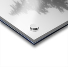 Mist and fog envelop two pine trees Impression Acrylique