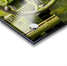 Moss covered farm machinery with handle Acrylic print