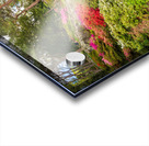 Stone bridge with Azaleas and Rhododendron trees Bodnant Acrylic print