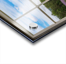 Lavender plants in blossom in early July through window Impression Acrylique