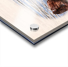 Digital watercolor of Sea Otter floating in the sea Acrylic print