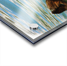 Digital pastel of Sea Otter floating in the sea Acrylic print