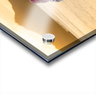 Dragon head carving on Hawaiian canoe in Oahu Impression Acrylique