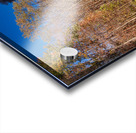 WMRR Steam train powers along railway Impression Acrylique