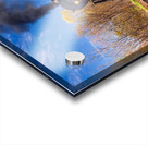 WMRR Steam train powers along railway Acrylic print