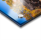 WMRR Steam train powers along railway Acrylic print