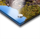 WMRR Steam train in Frostburg MD Acrylic print