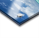 Round pink lifeguard station on Miami beach Acrylic print