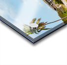 Florida Keys rail bridge and heritage trail Acrylic print