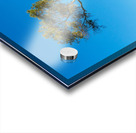 Serra Cross in Ventura California between trees Acrylic print