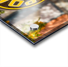 Reflections in Polly Gas pump Impression Acrylique