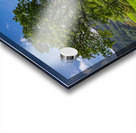 Tree with Langdale Pikes in Lake District Acrylic print