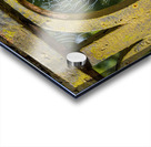 Dew glistening cobweb on gate Impression Acrylique