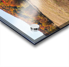 Grandview Farm barn with fall colors in Vermont Acrylic print