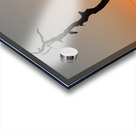 Gnarled tree on Skyline drive in Virginia Acrylic print