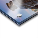 Captain on the Helm statue in Chicago Acrylic print