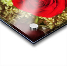 Oil painting of red rose bouquet Acrylic print