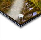 Painting of Tree Tunnel on Kauai Acrylic print