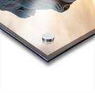 Martin Luther King Monument DC Acrylic print