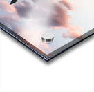 Flag flies in front of Capitol in DC at sunrise Acrylic print