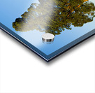 Large tree dominates small tree on hillside Acrylic print