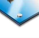 Statue of Stonewall Jackson at Manassas Impression Acrylique