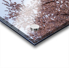 Cherry blossoms by the Capitol dome at dawn Acrylic print