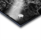 Storm erosion on tree roots at Kee beach Acrylic print