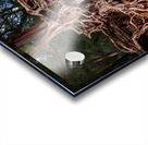 Storm erosion on tree roots at Kee beach Acrylic print