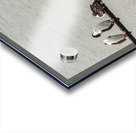 Colony of Imperial Cormorant seabirds in Punta Arenas Chile Impression Acrylique