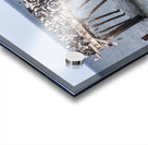 Colony of Imperial Cormorant seabirds in Punta Arenas Chile Acrylic print