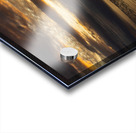 Golden sunset on a cruise on a calm Pacific ocean Acrylic print