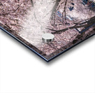 Cherry blossoms over walking trail  by the river in Morgantown W Acrylic print