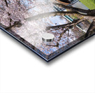 Ruby Amphitheater by walking trail  by the river in Morgantown W Acrylic print