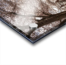 Steel girder bridge carries the bike walking trail over Deckers  Acrylic print