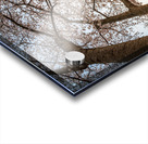 Steel girder bridge carries the bike walking trail over Deckers  Acrylic print